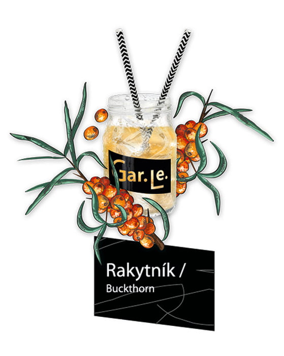 Sklenice_Rakytnik_100x100_GarLe