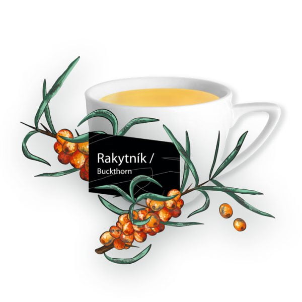 rakytnik-6