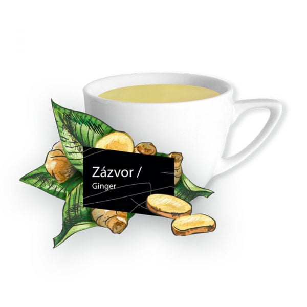 zazvor-6